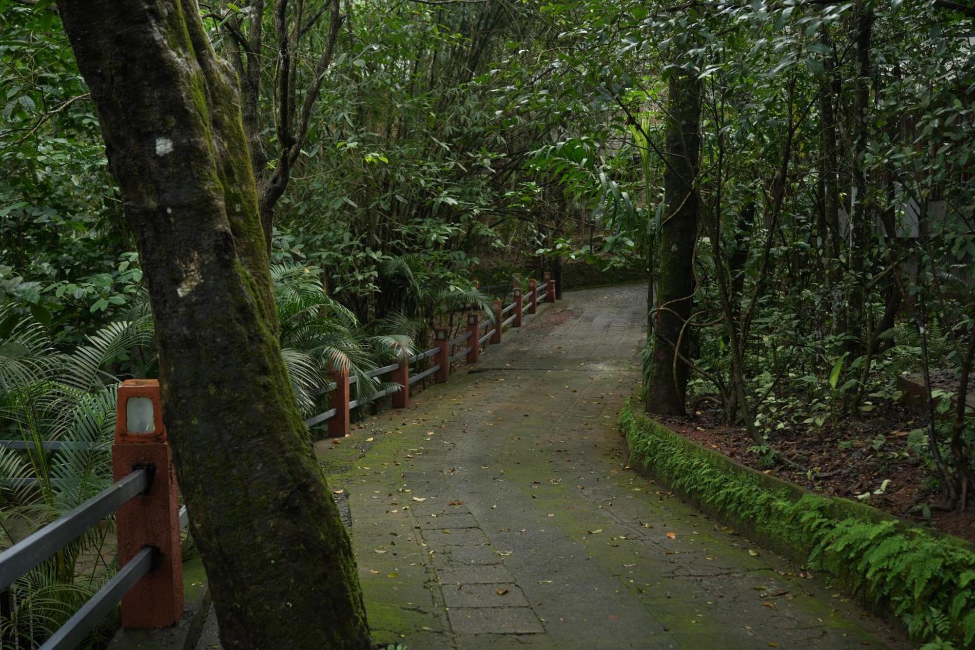 Wayanad Silverwoods Forest Resort & Spa Padinjarathara Exterior foto
