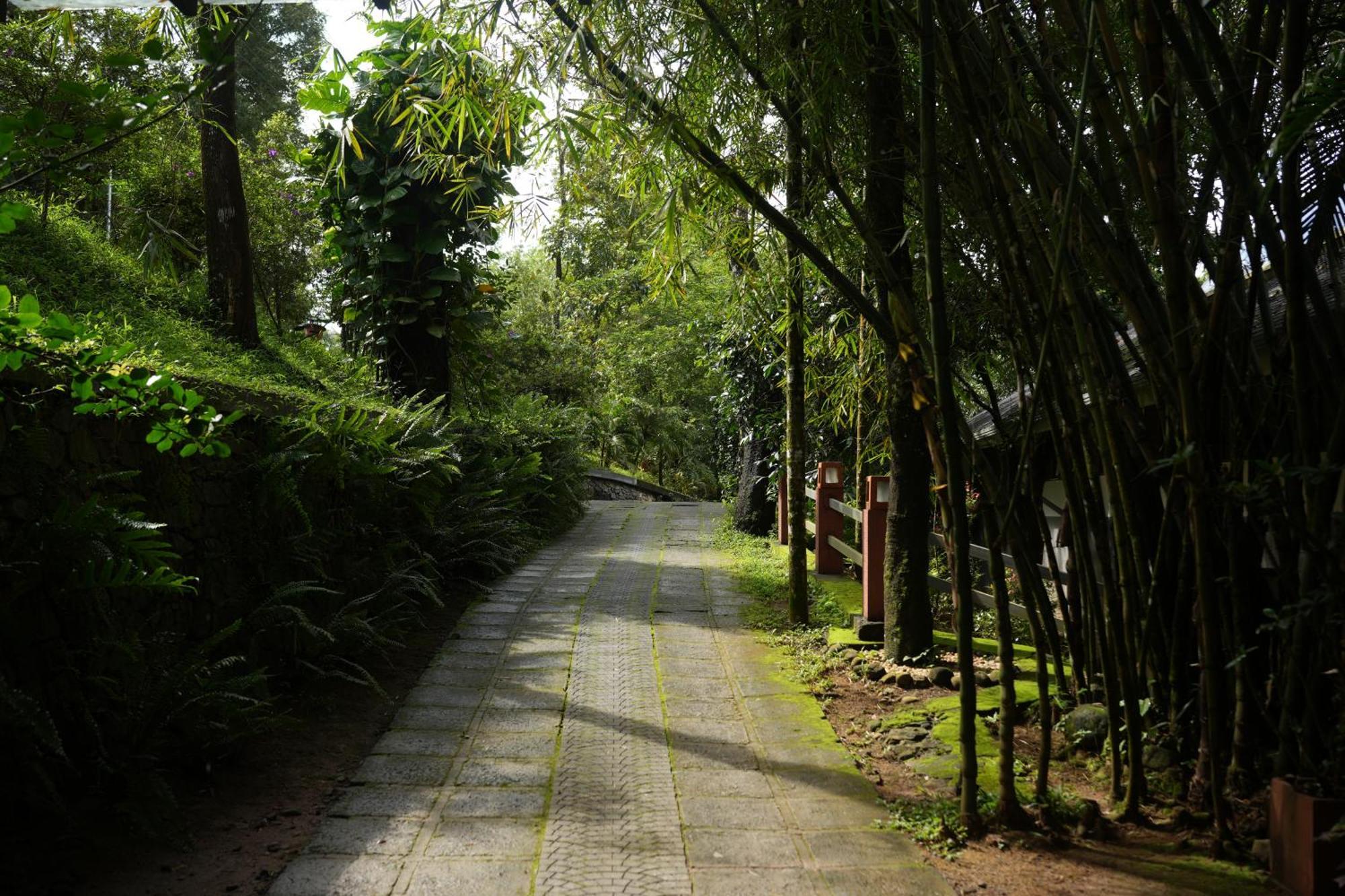 Wayanad Silverwoods Forest Resort & Spa Padinjarathara Exterior foto